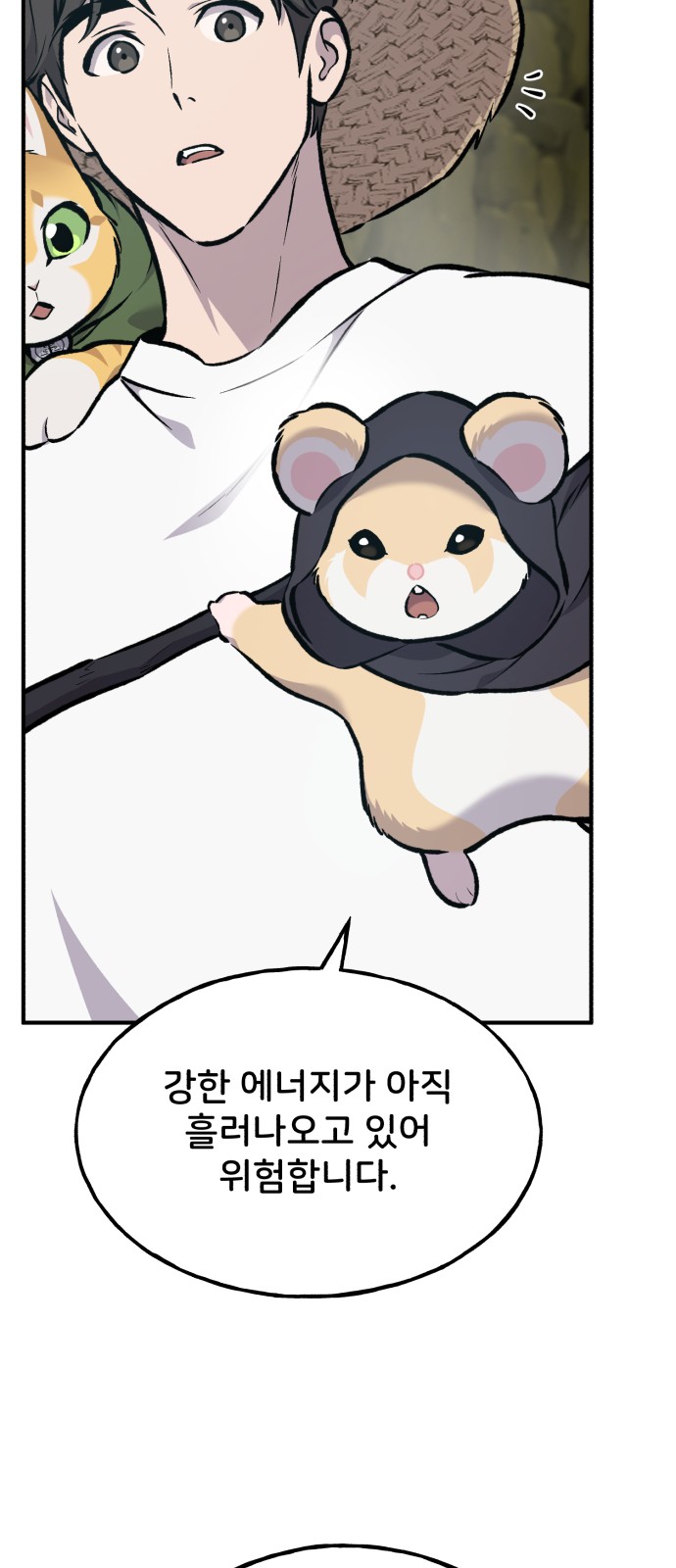 48 페이지