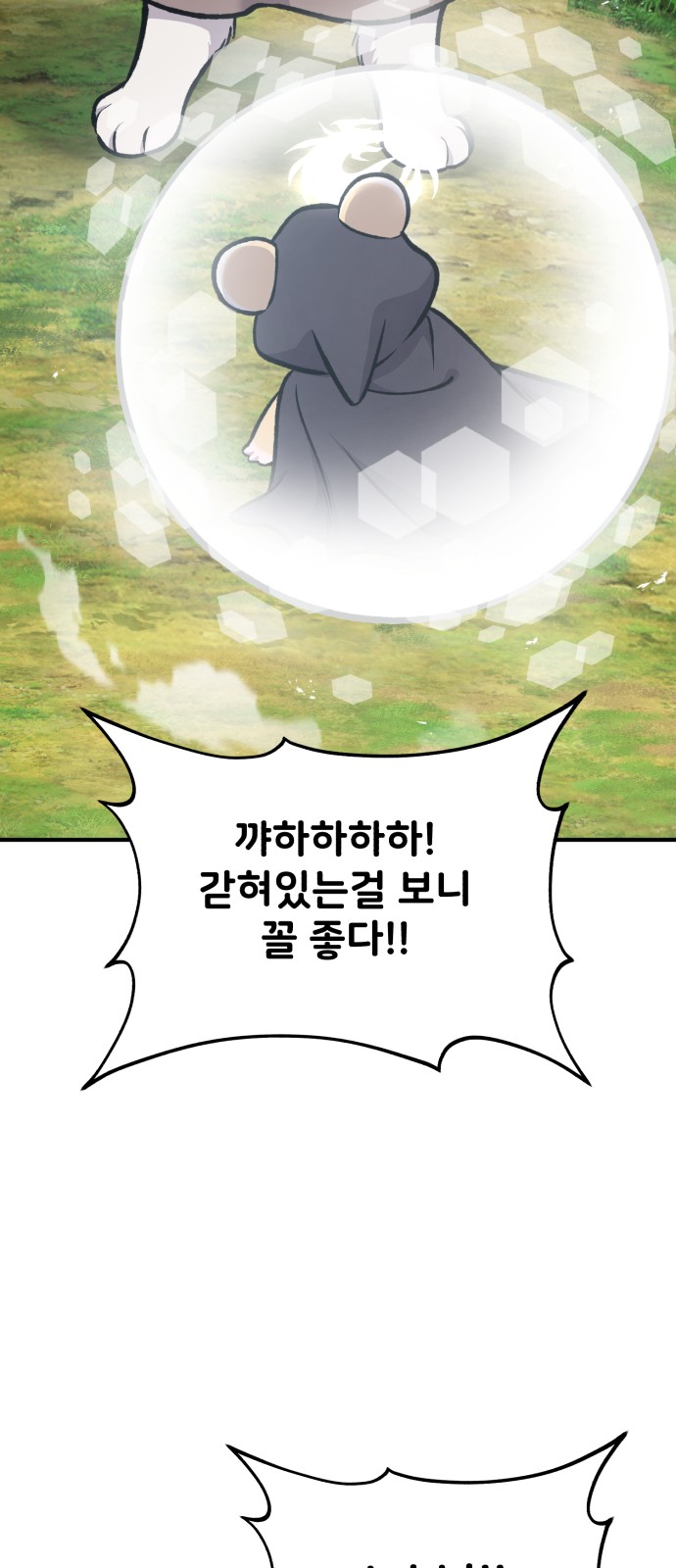 72 페이지