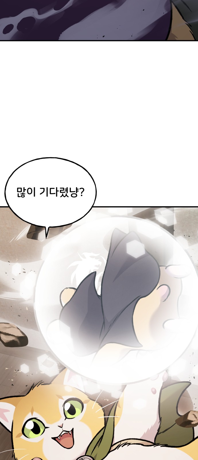 113 페이지