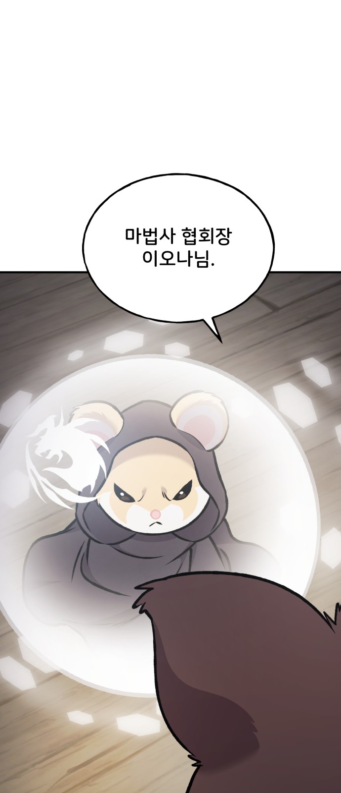 66 페이지
