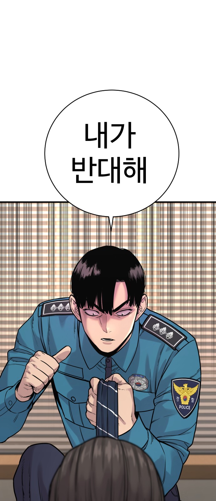 66 페이지