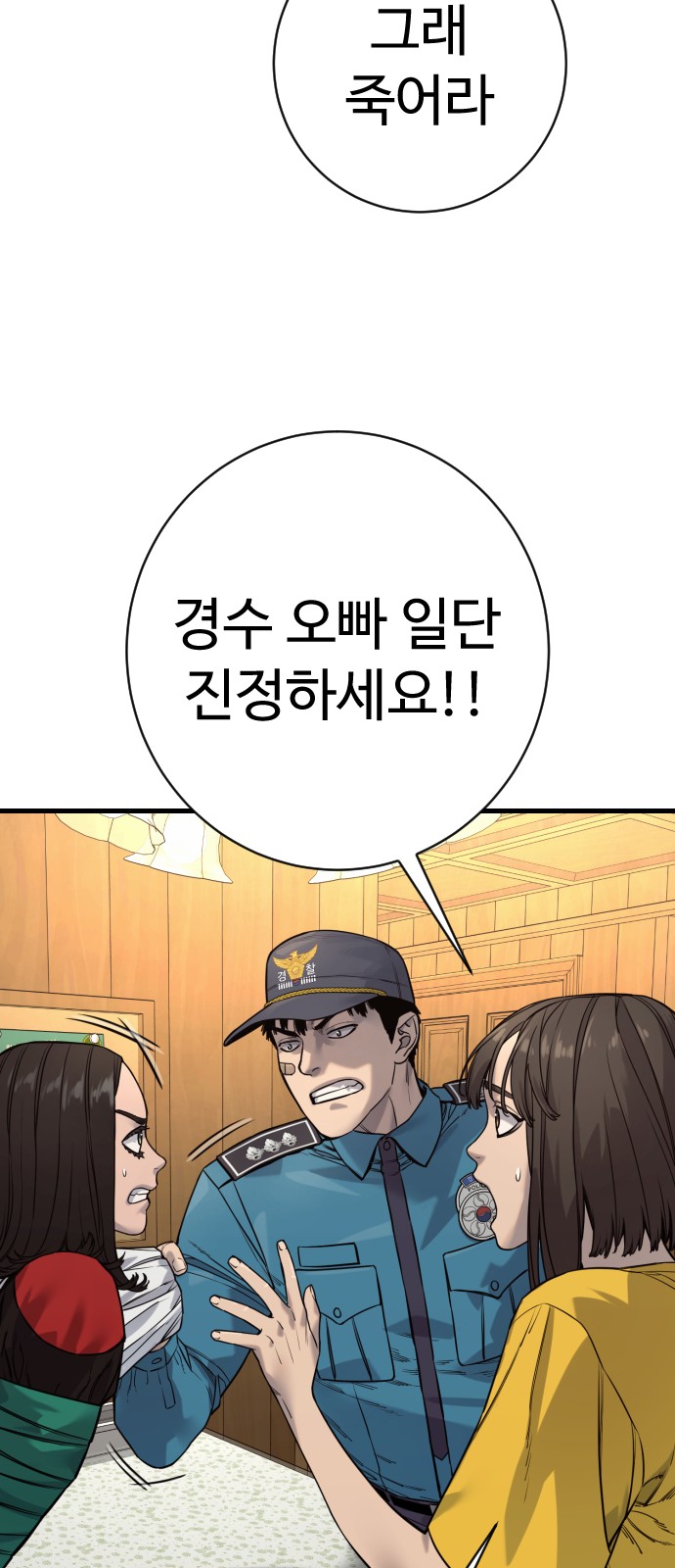 66 페이지