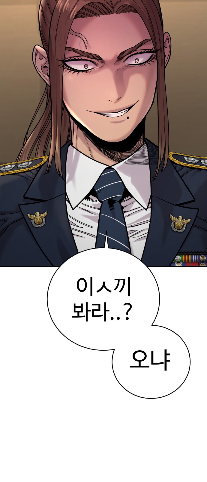 86 페이지