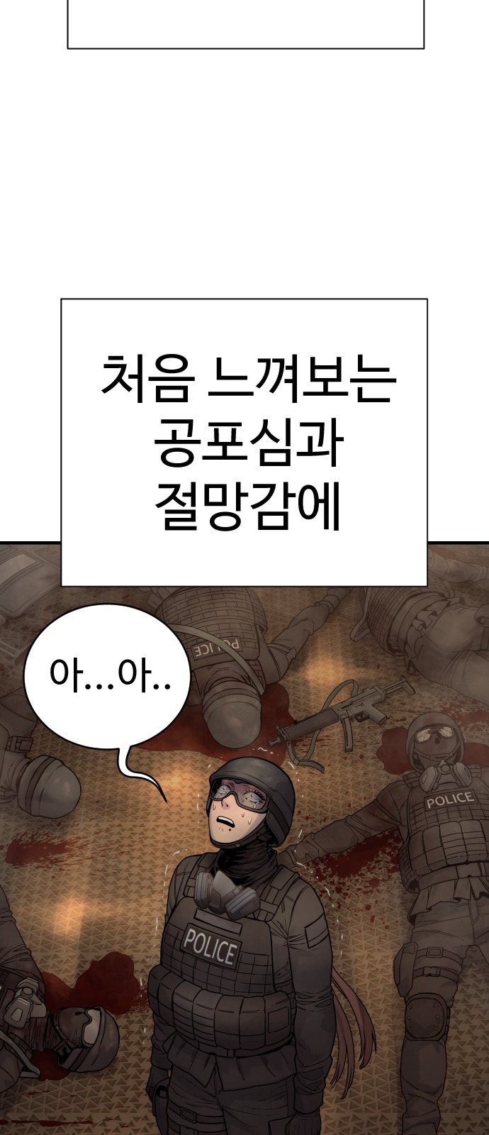 66 페이지