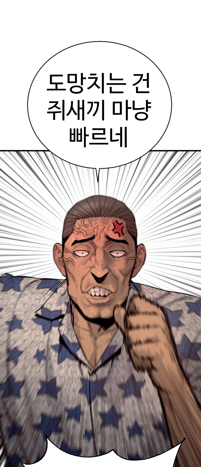 71 페이지