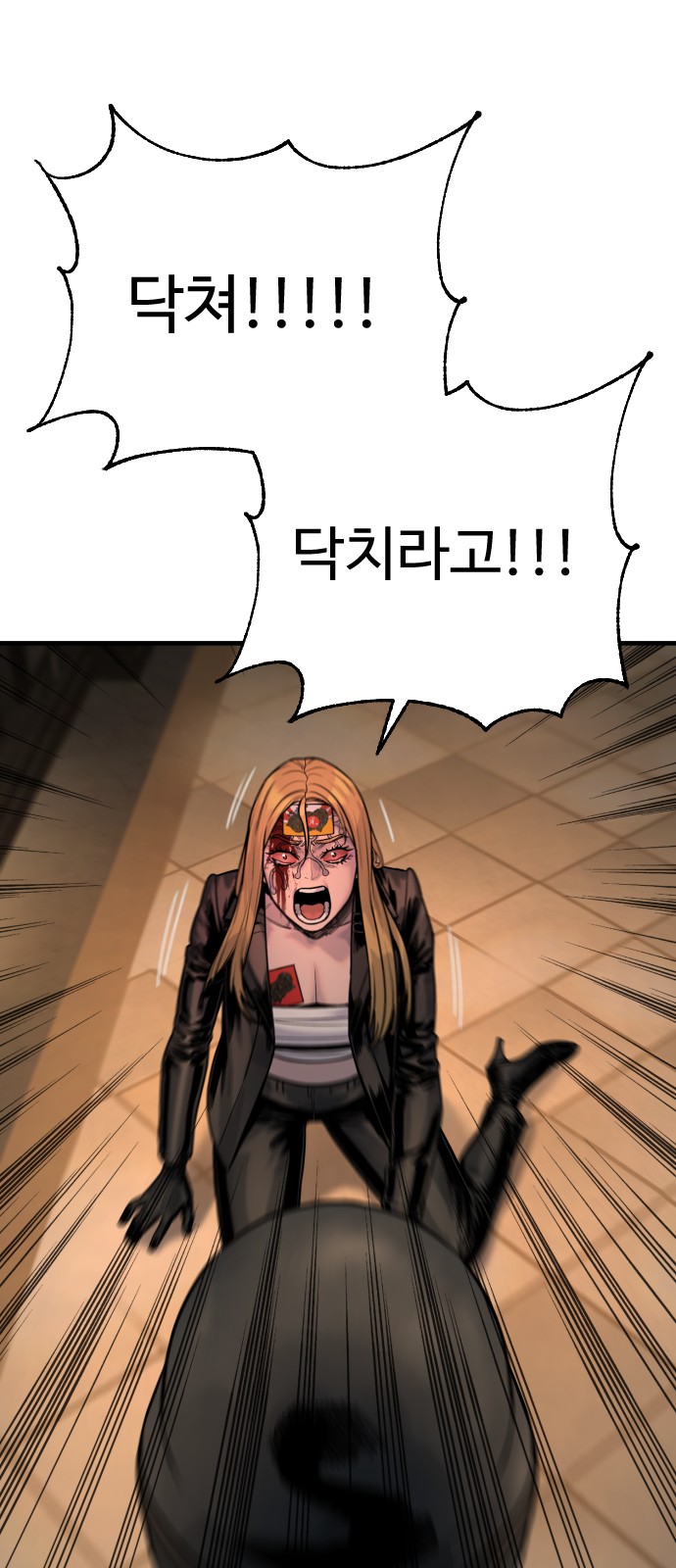 66 페이지