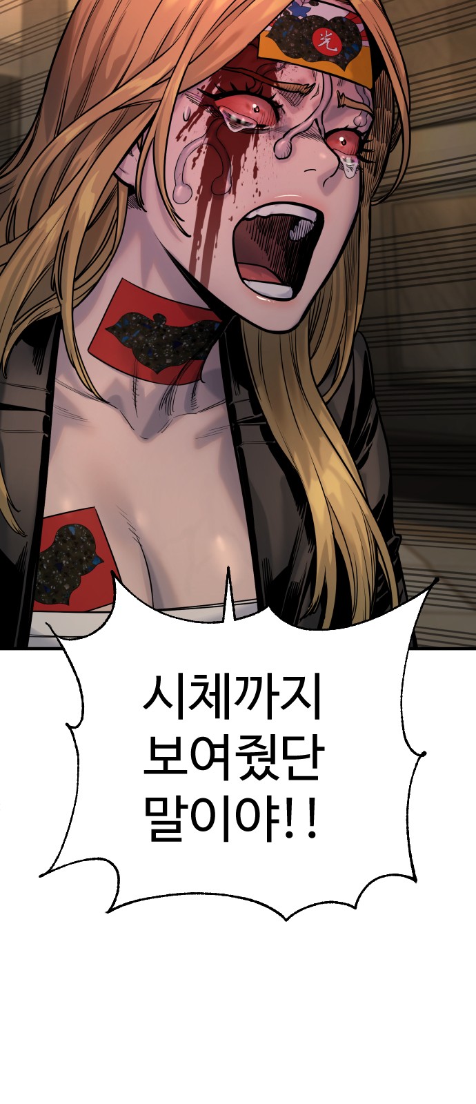 68 페이지