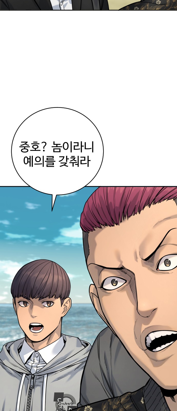 20 페이지