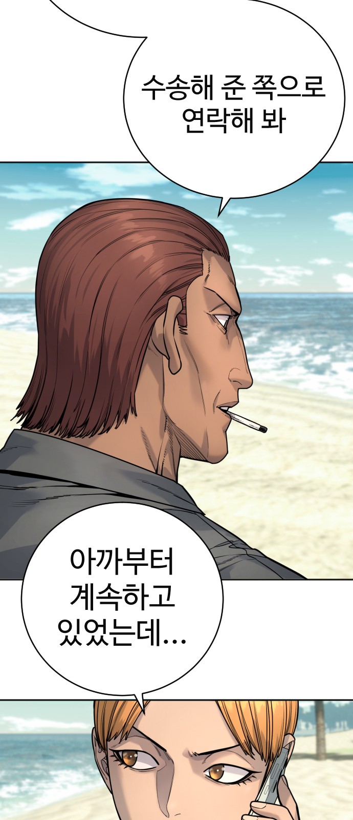 66 페이지