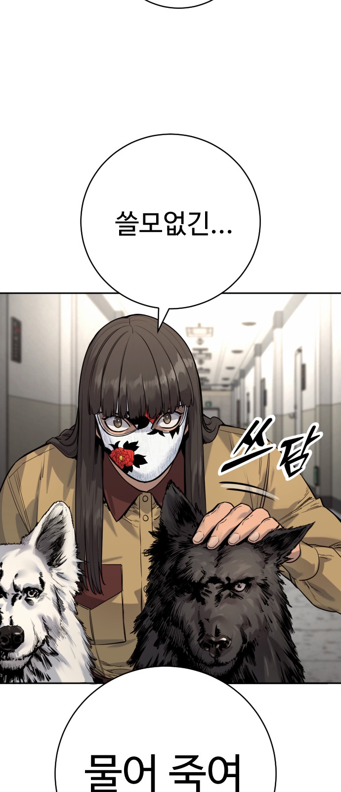 66 페이지