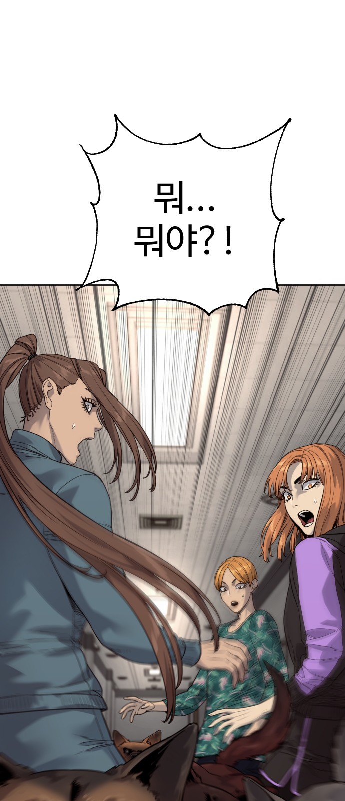 50 페이지
