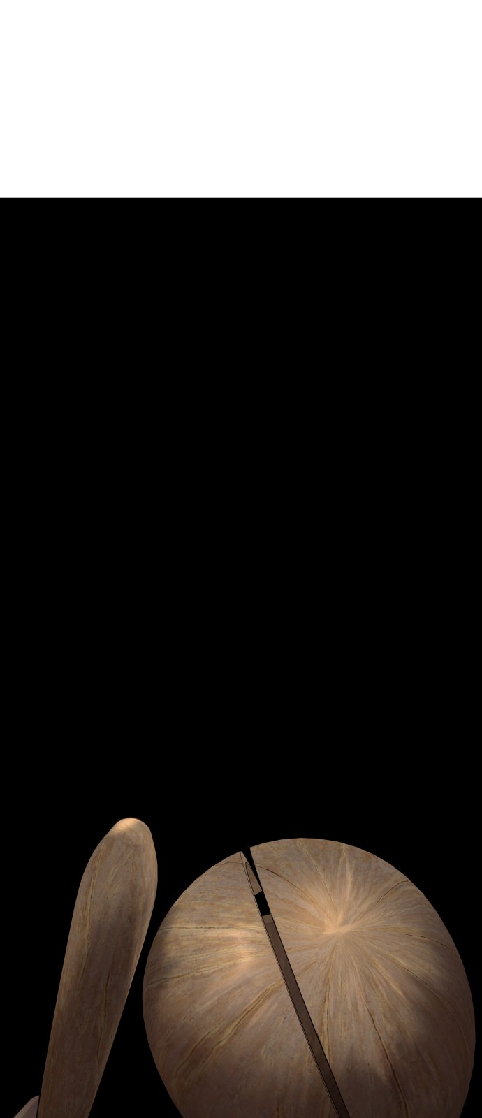 71 페이지