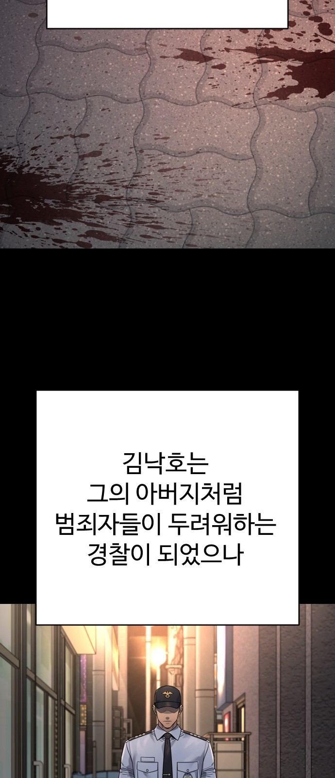 43 페이지