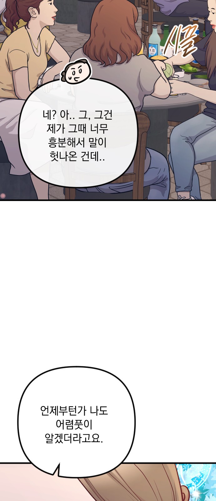 66 페이지
