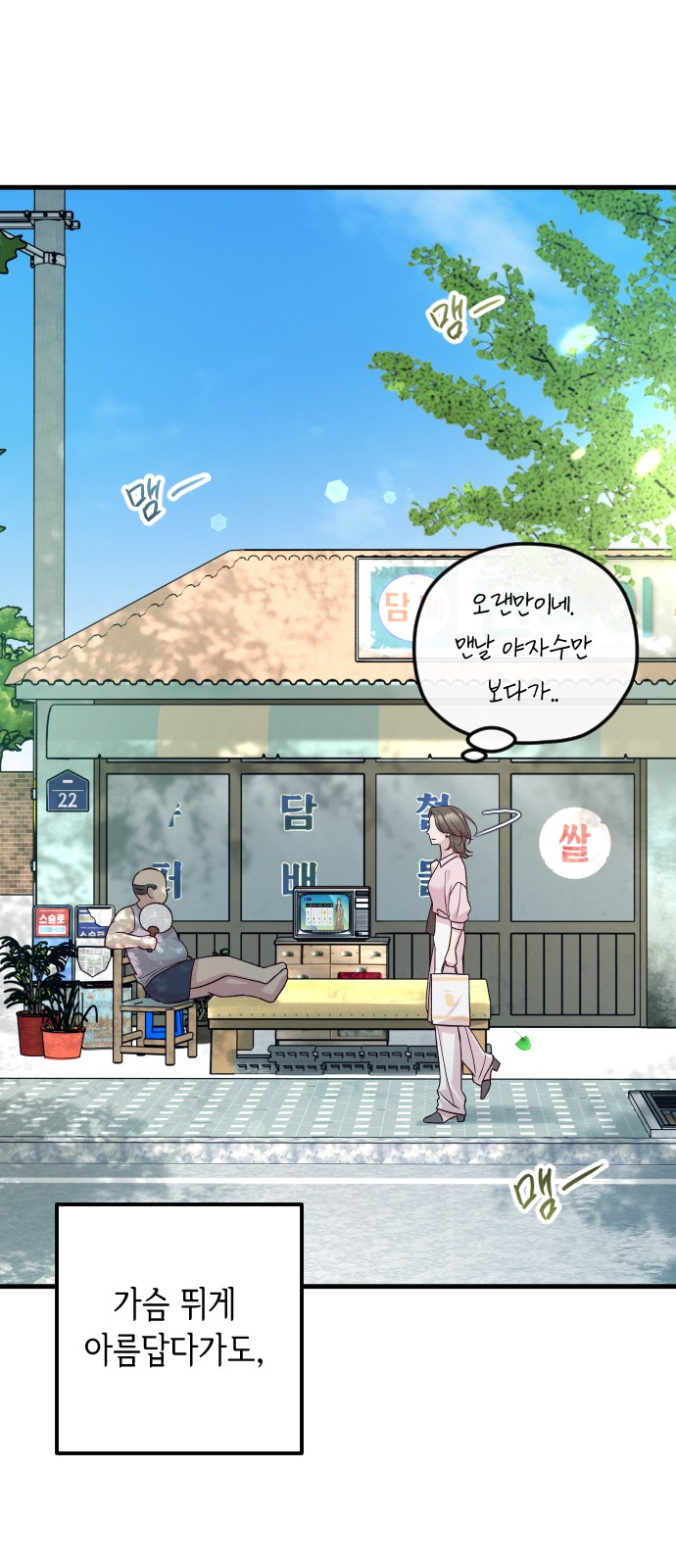 12 페이지
