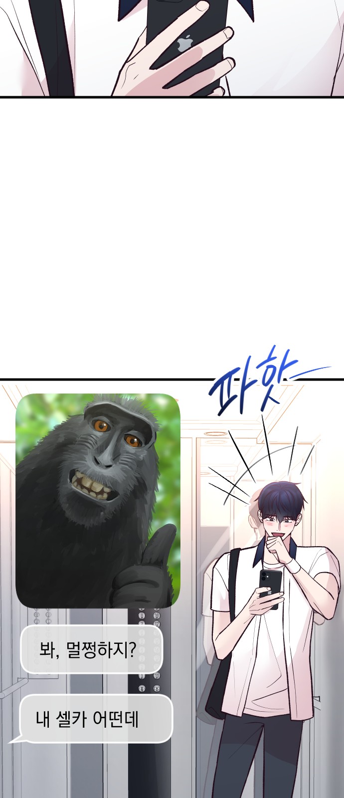 19 페이지