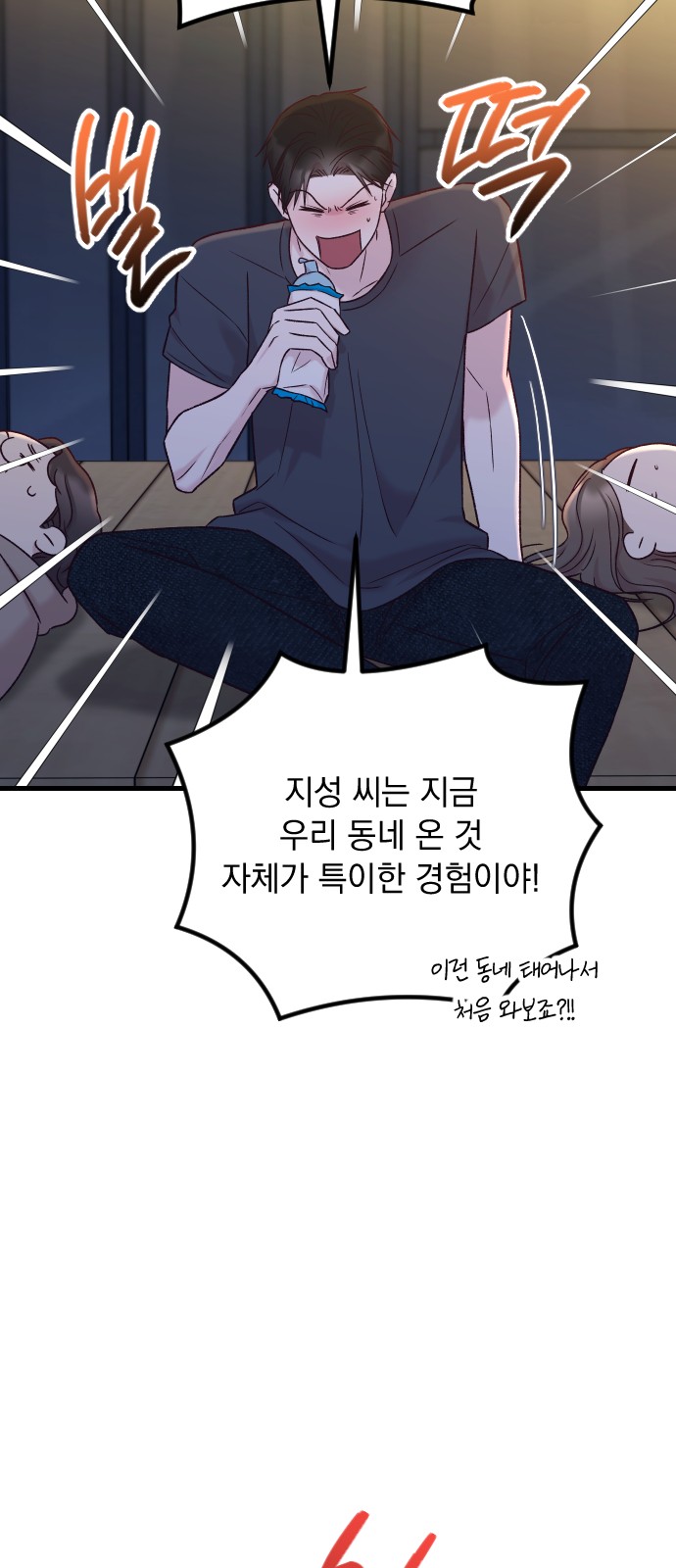 44 페이지