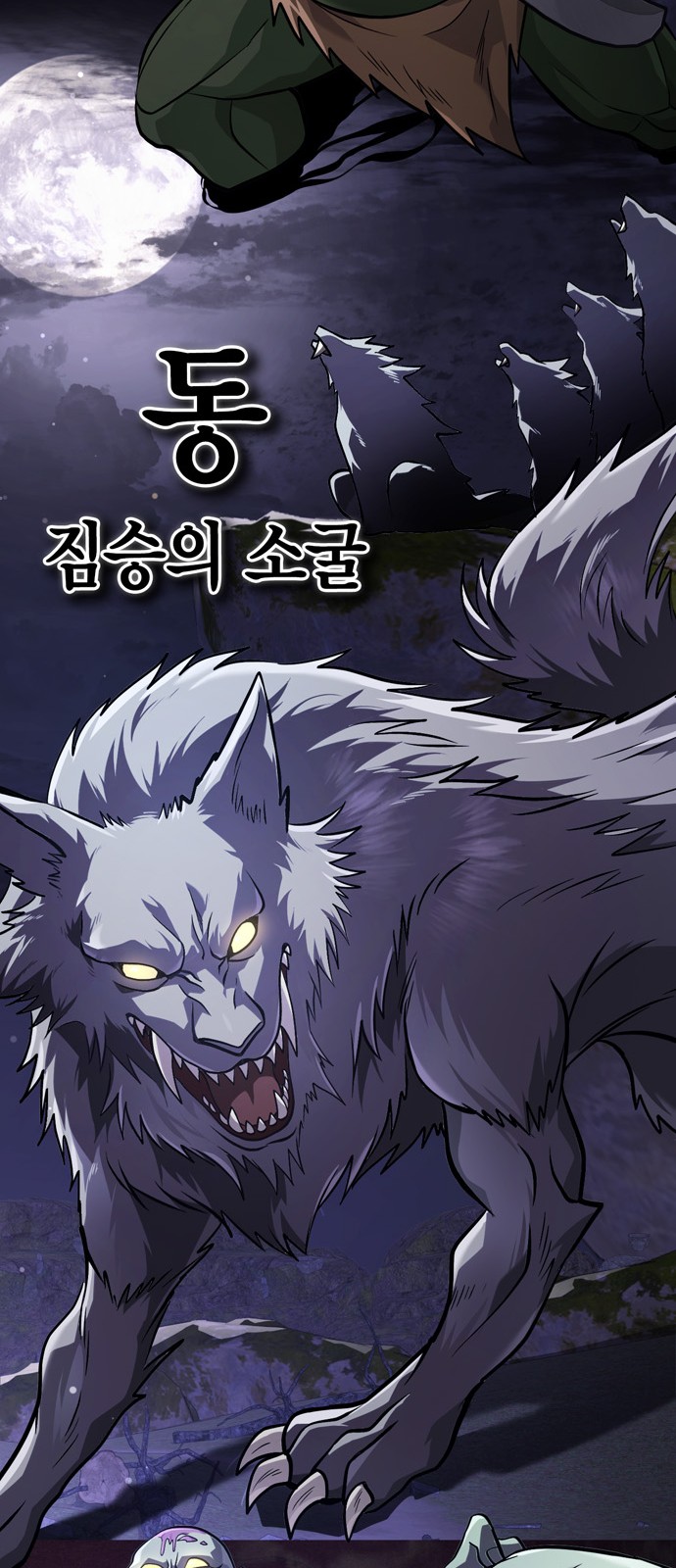 15 페이지