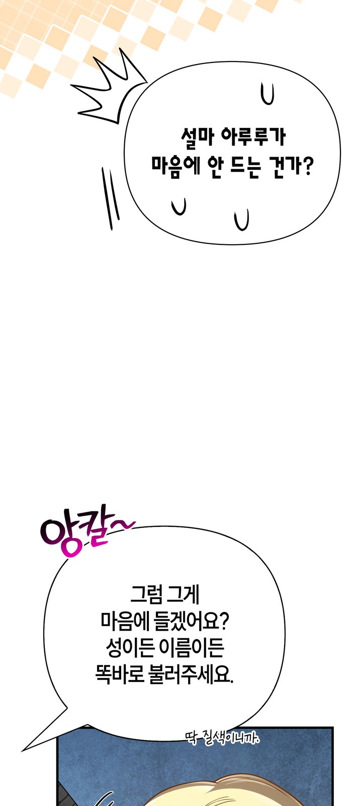86 페이지