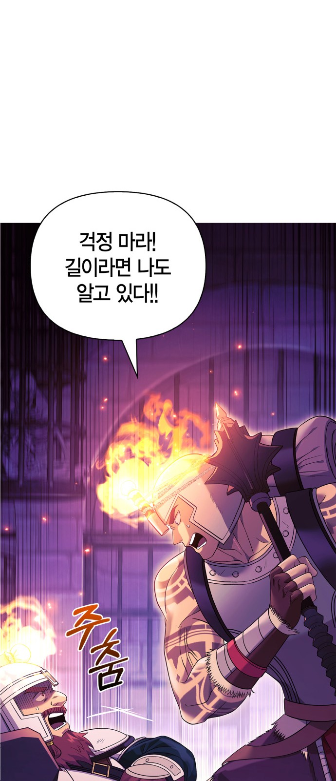 46 페이지