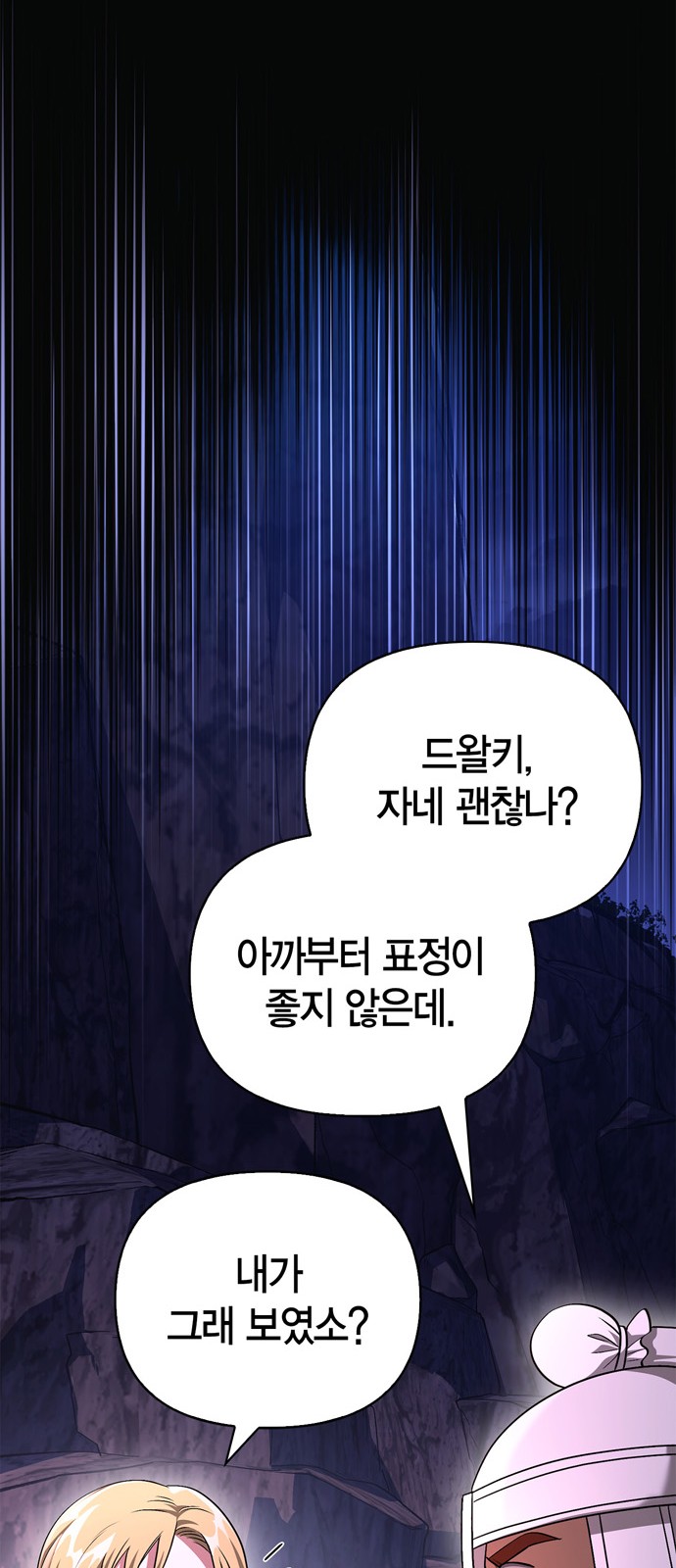 113 페이지