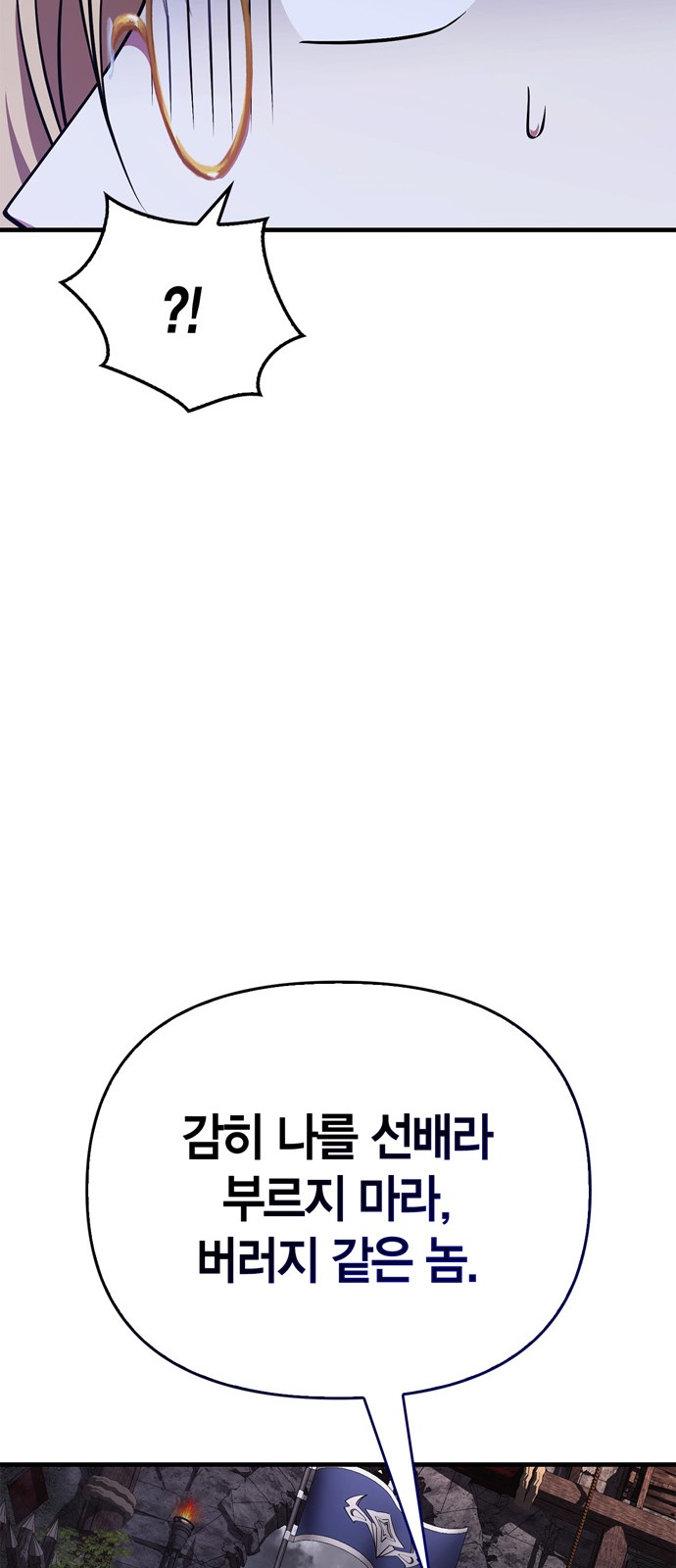 113 페이지