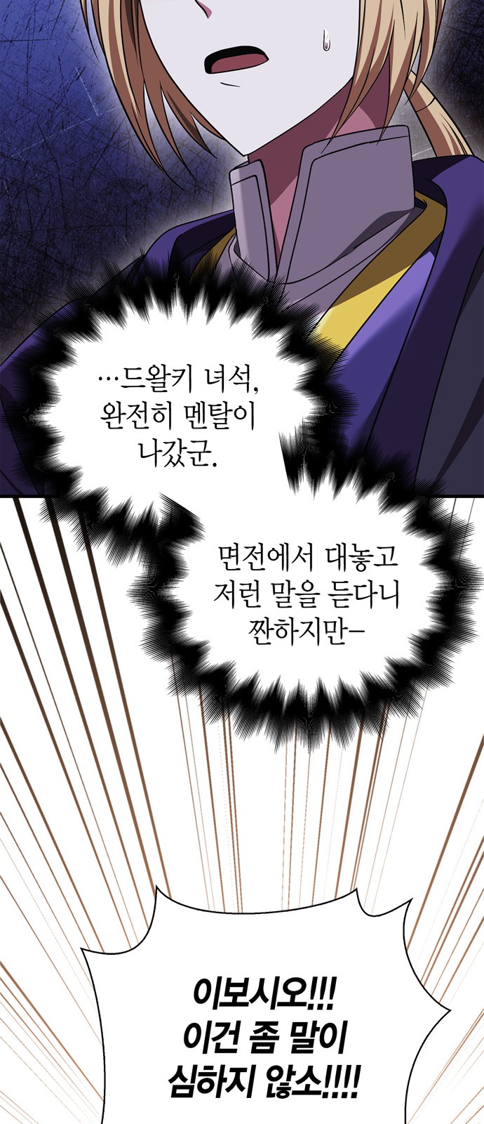 117 페이지