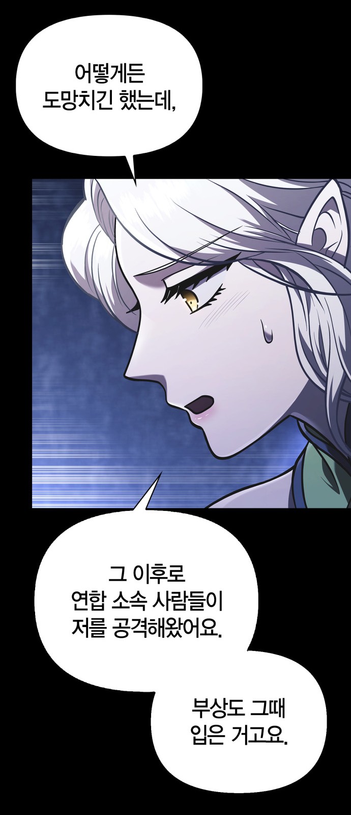 30 페이지