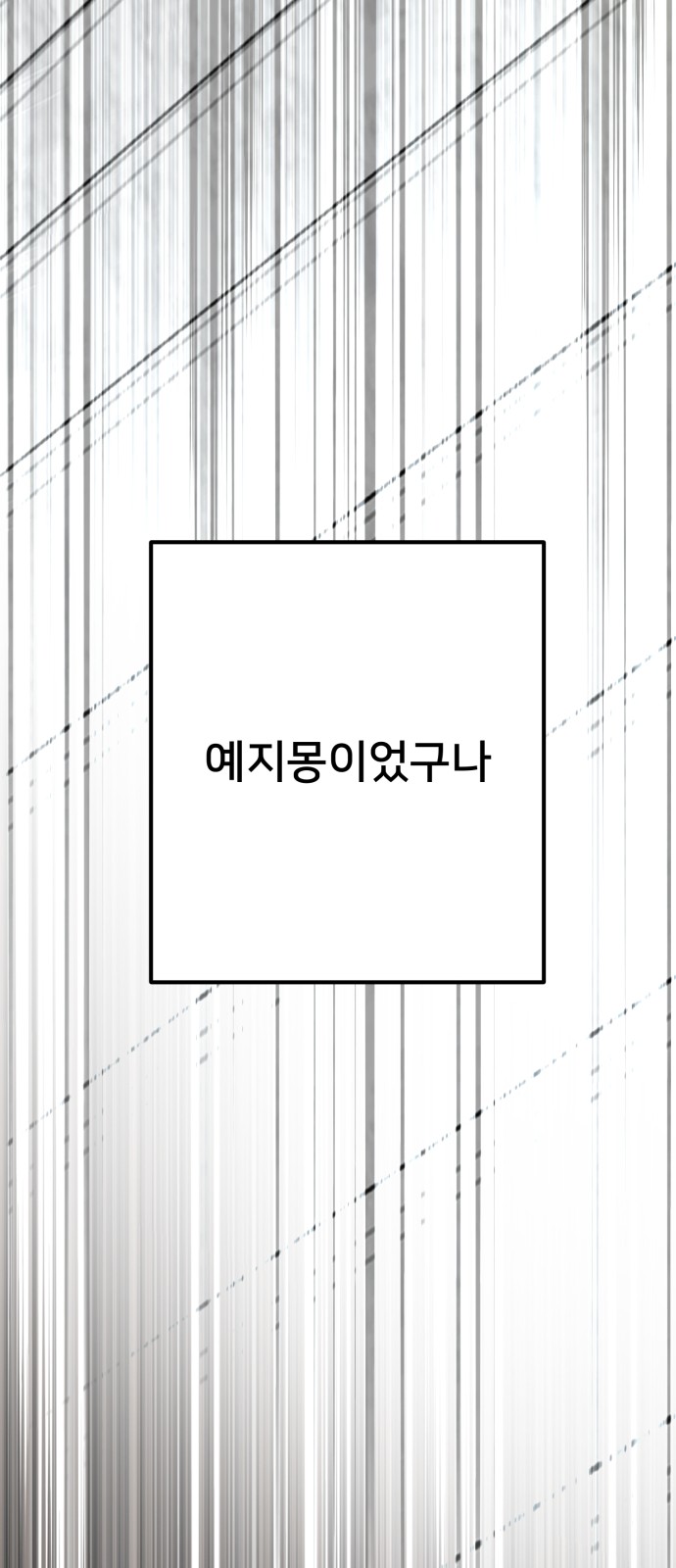 95 페이지