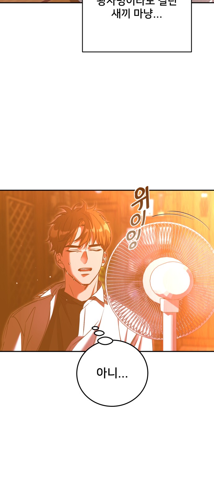 66 페이지