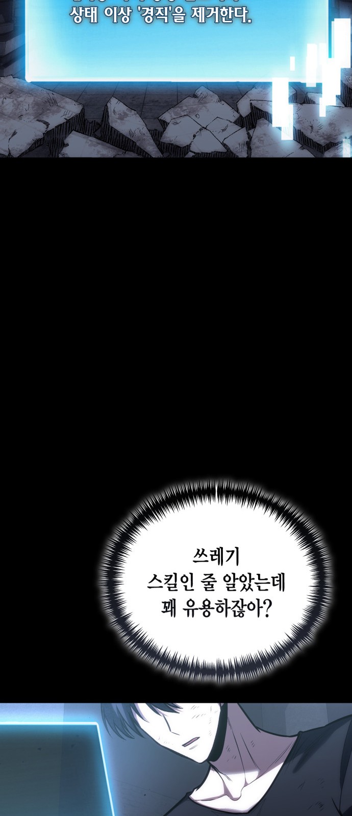 46 페이지