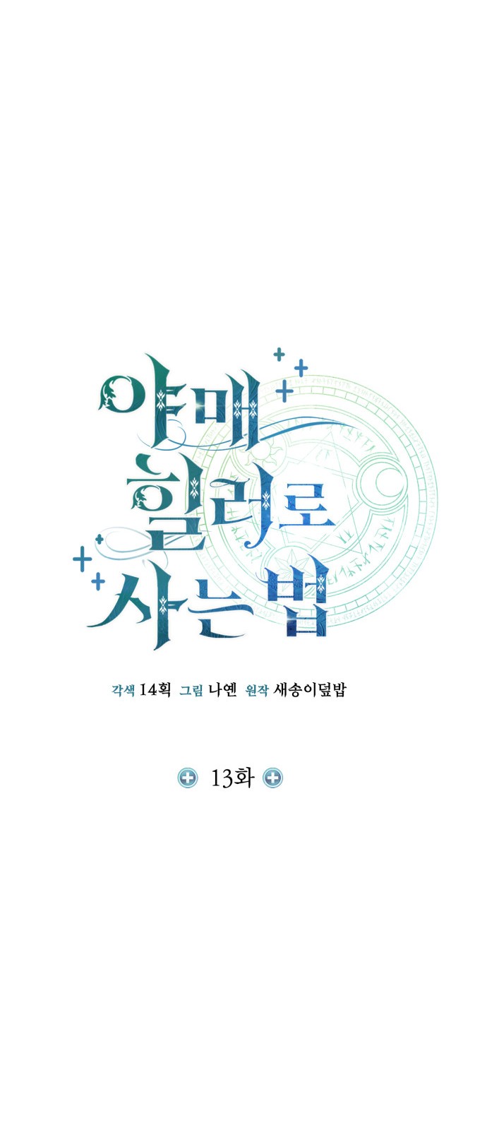 13 페이지