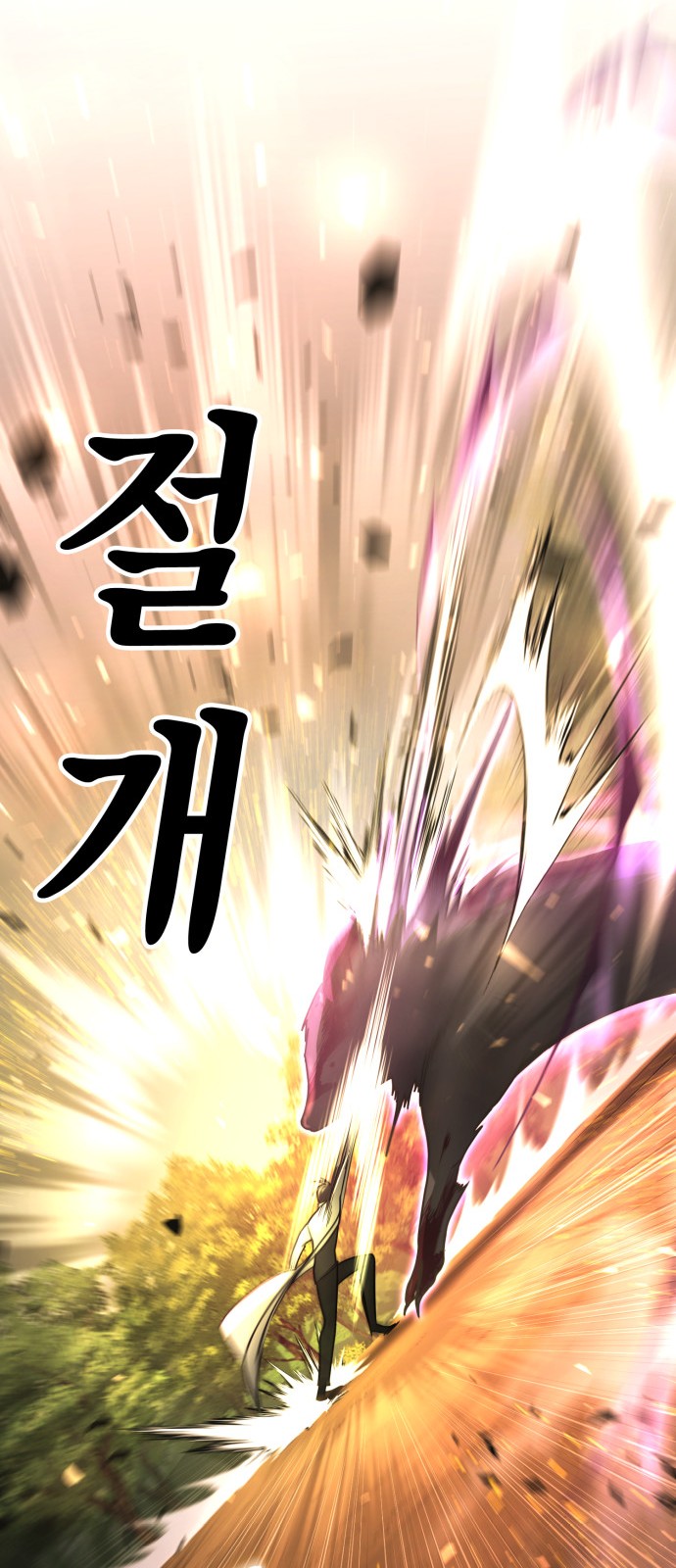 61 페이지
