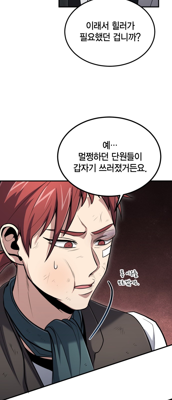 66 페이지