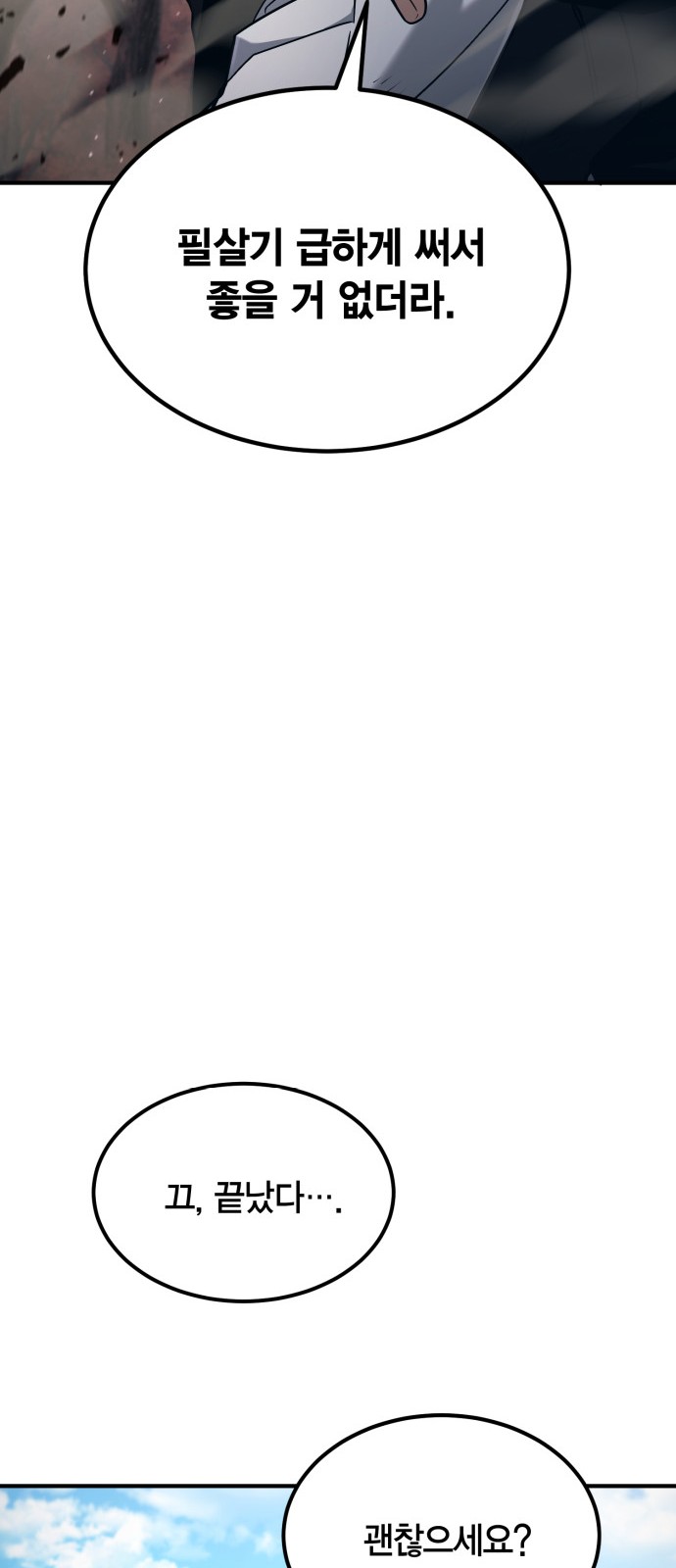 66 페이지