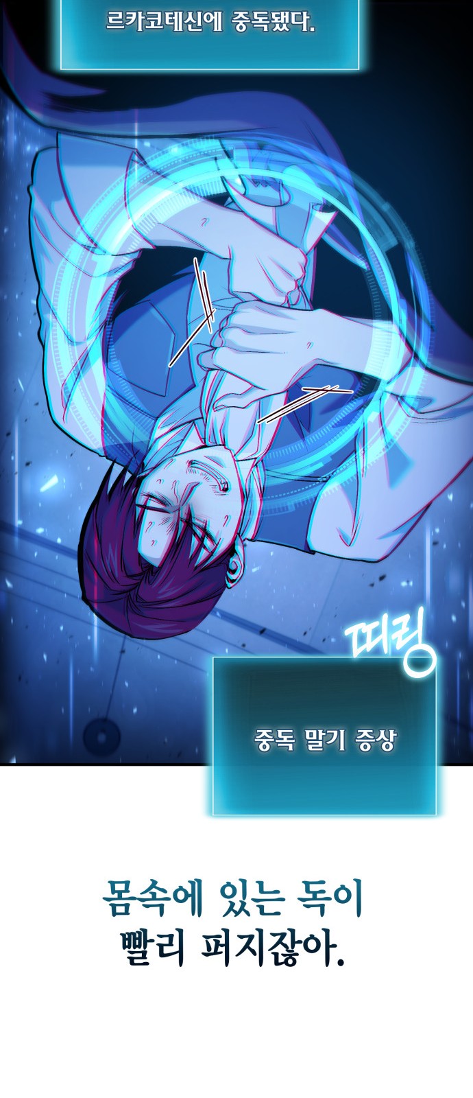 66 페이지