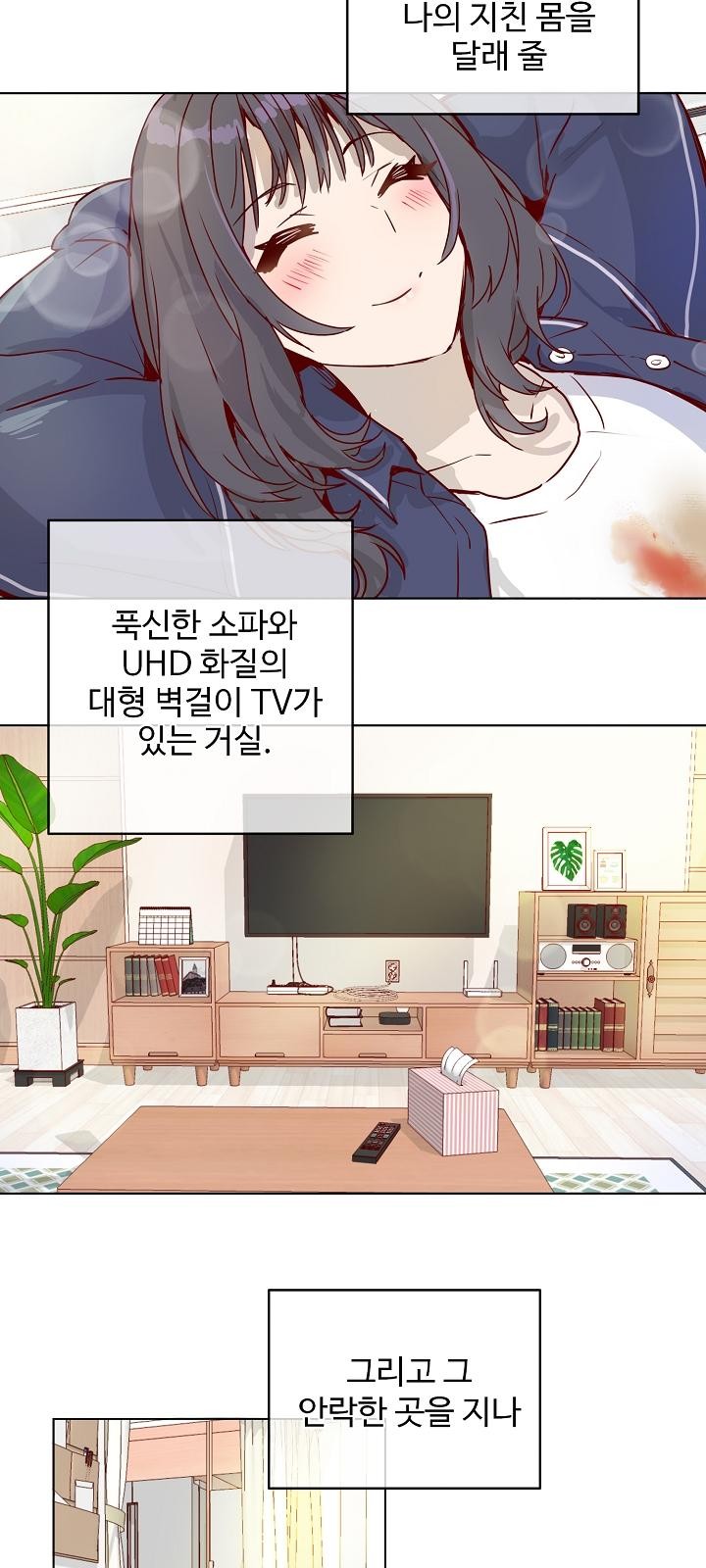 52 페이지