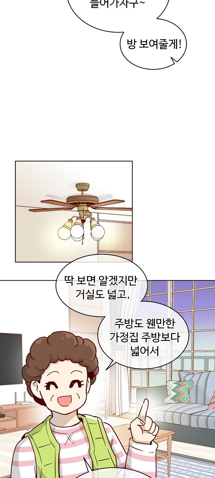 17 페이지