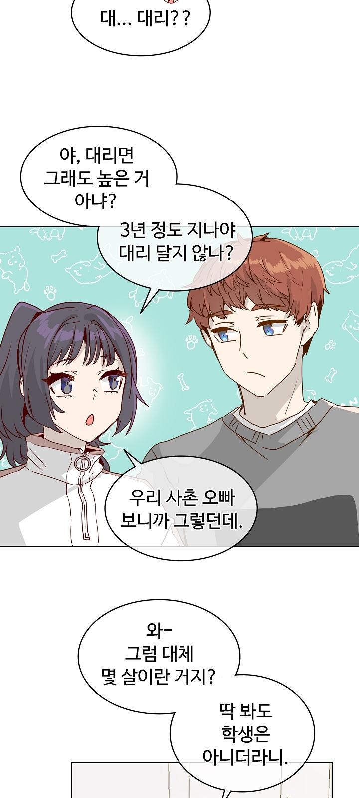 45 페이지