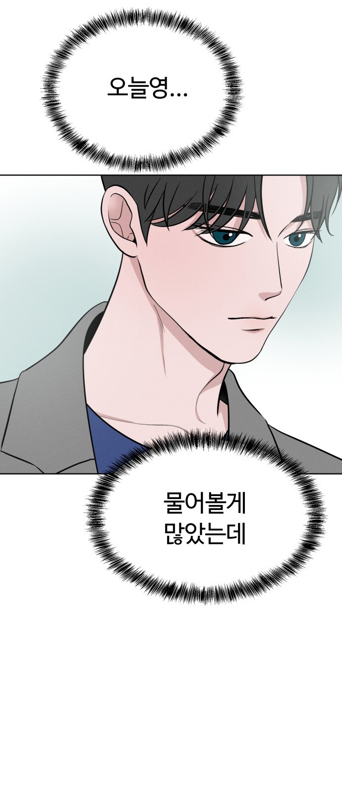 86 페이지