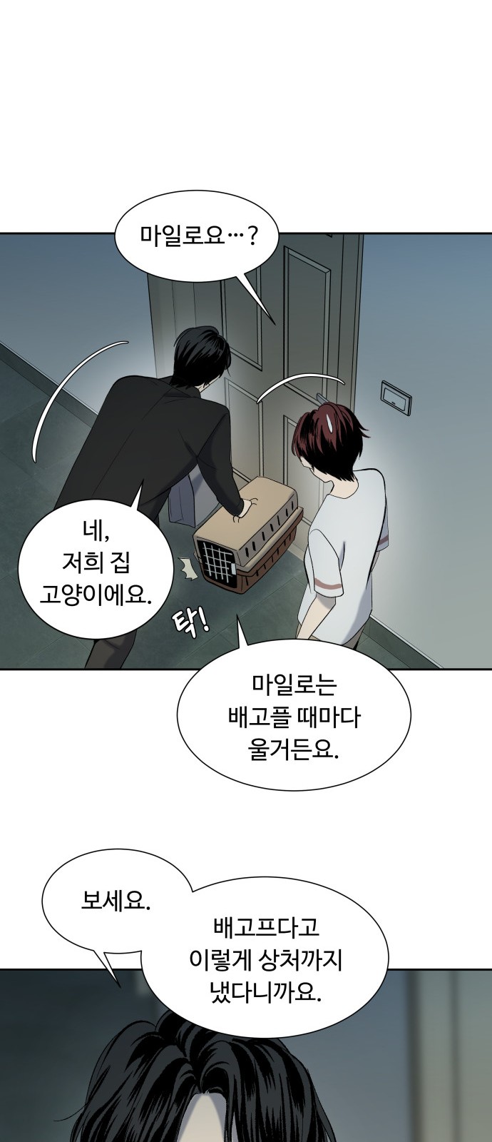 37 페이지