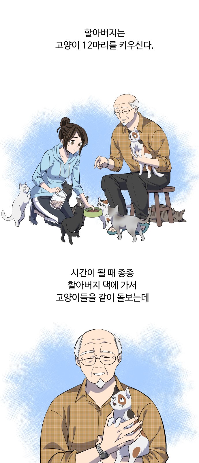 13 페이지