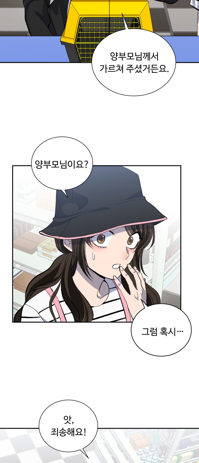 41 페이지