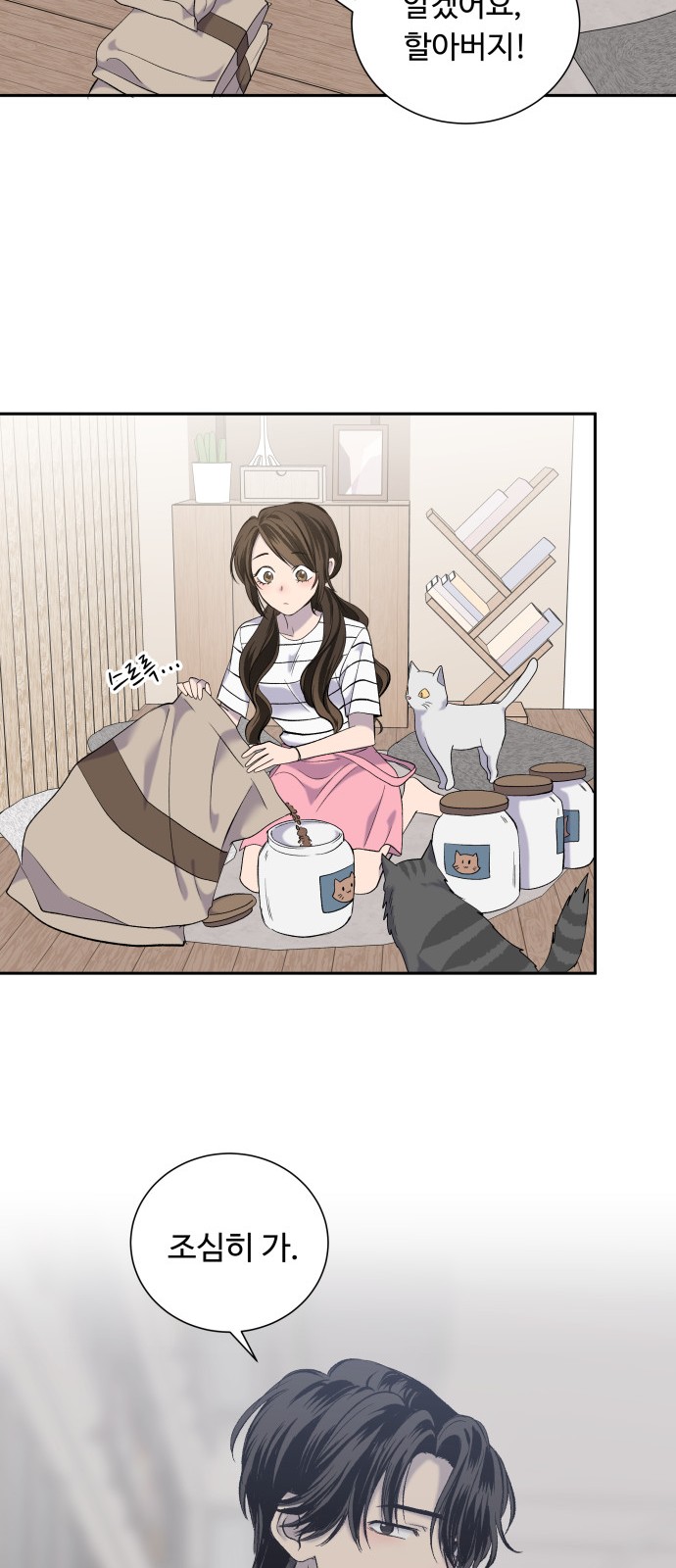 20 페이지
