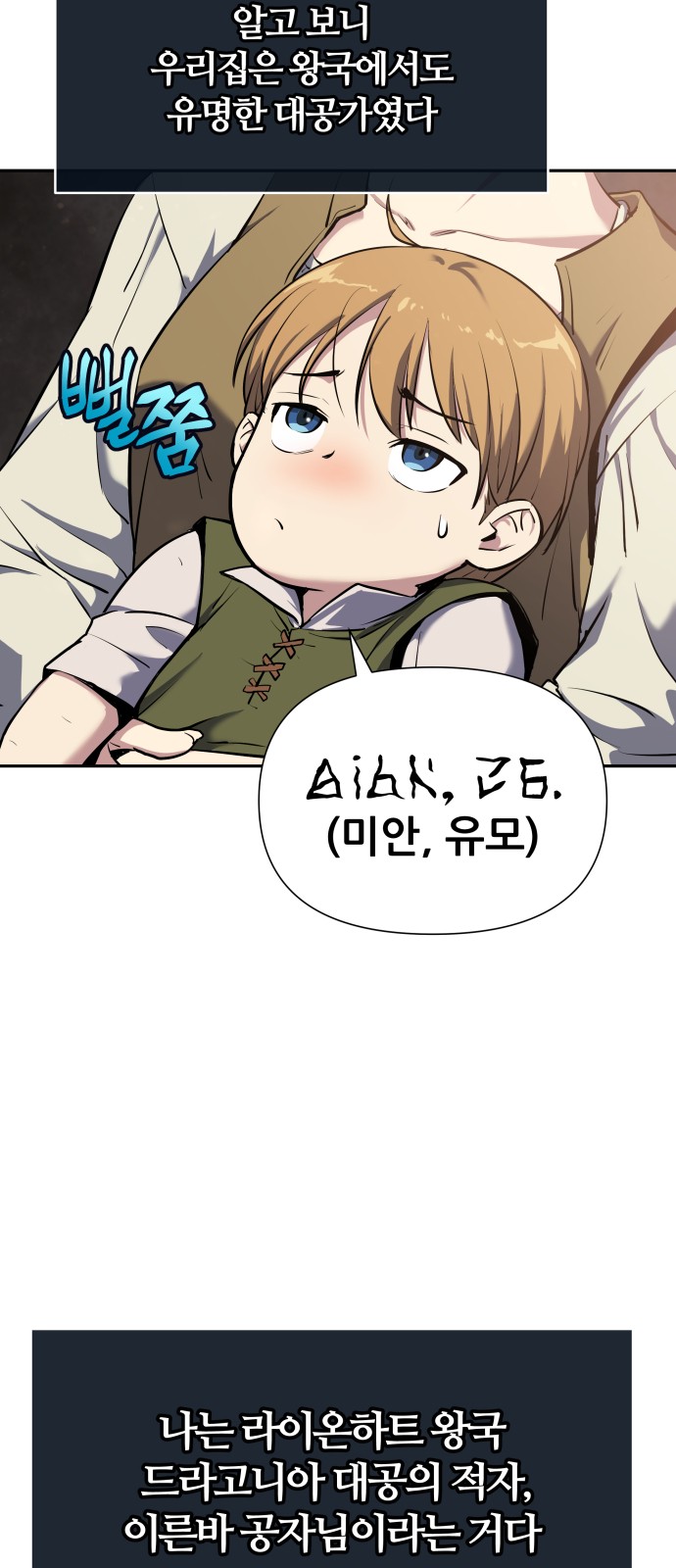 13 페이지