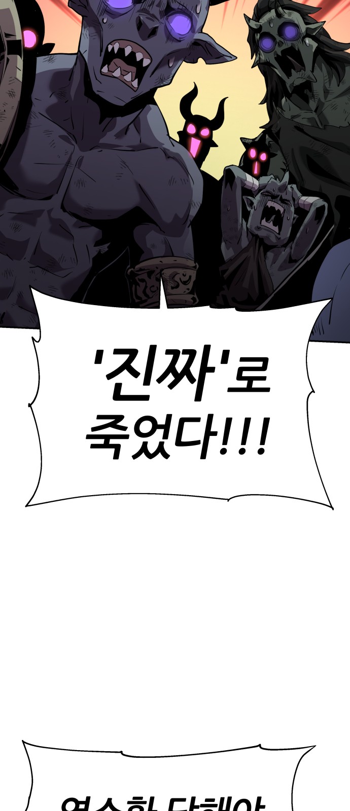 113 페이지