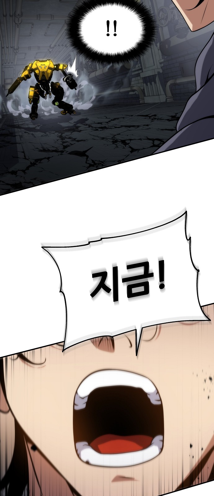 46 페이지