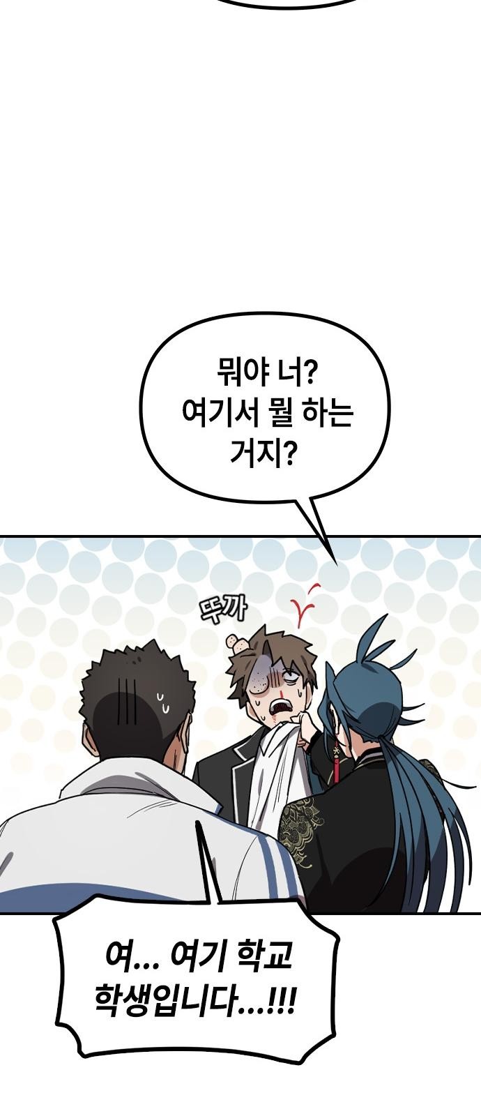 66 페이지