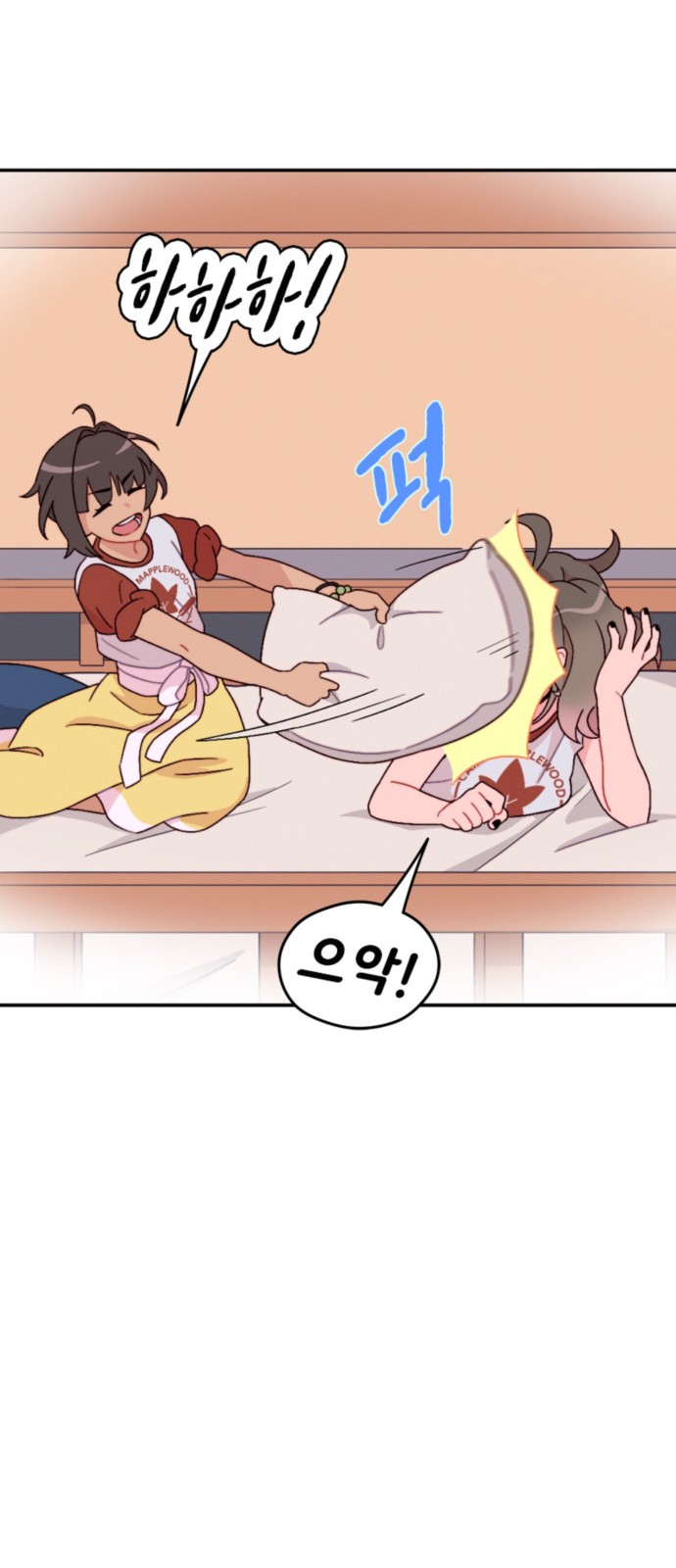 29 페이지
