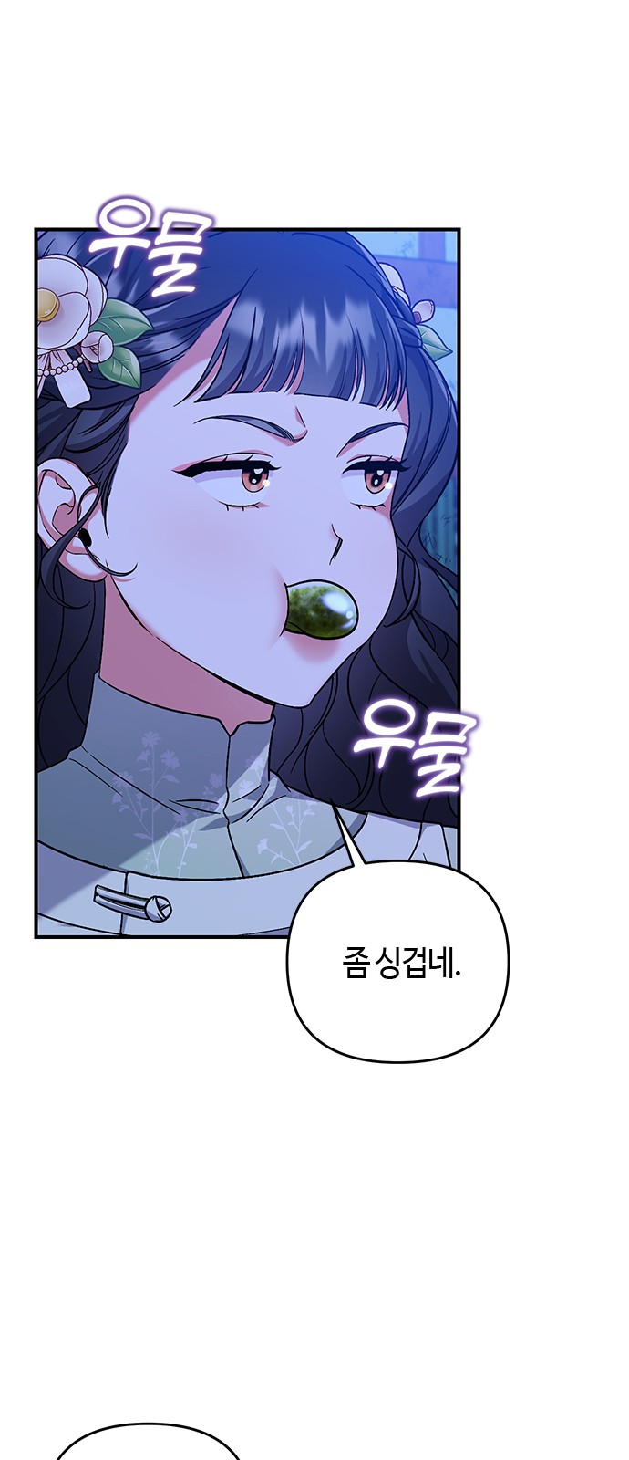 52 페이지